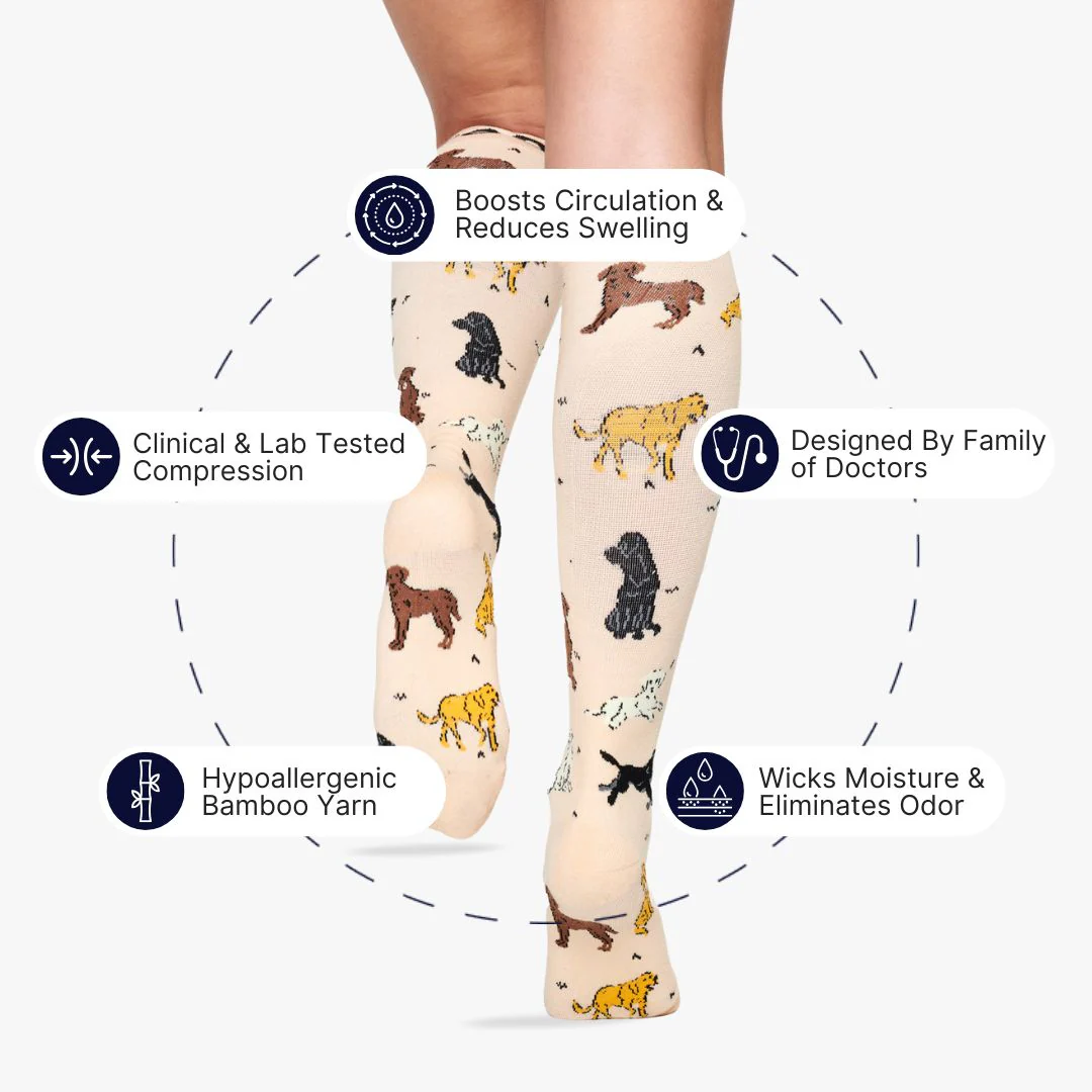 Labradors Bamboo Compression Socks - Image 2